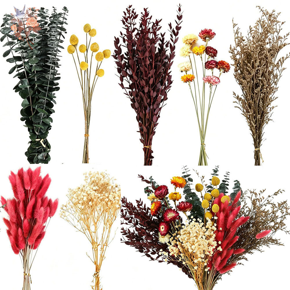 Florist Supply Bulk - Set di Fiori Secchi in Grandi