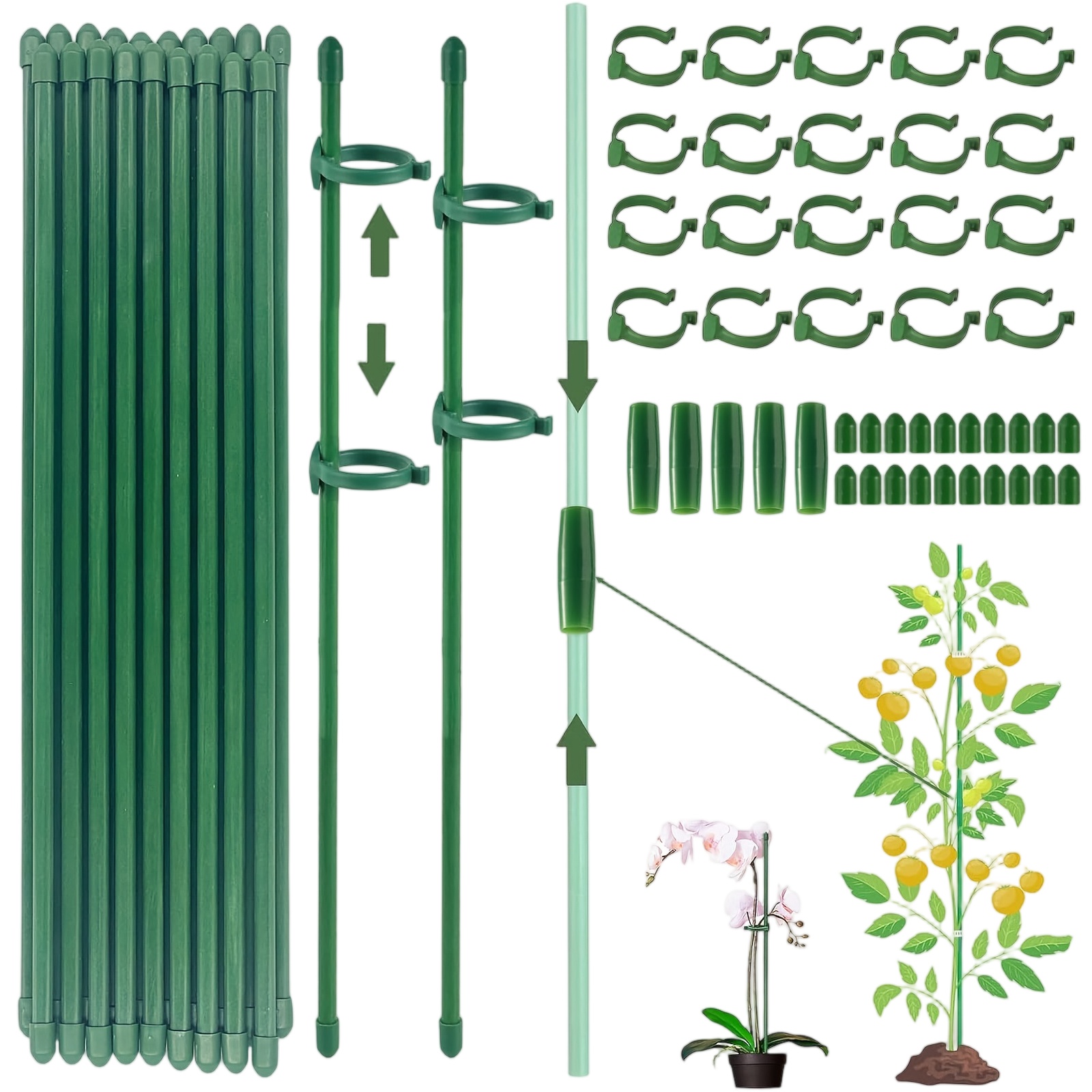 Florist Supply Bulk - Supporti per Piante, Pali da Giardino