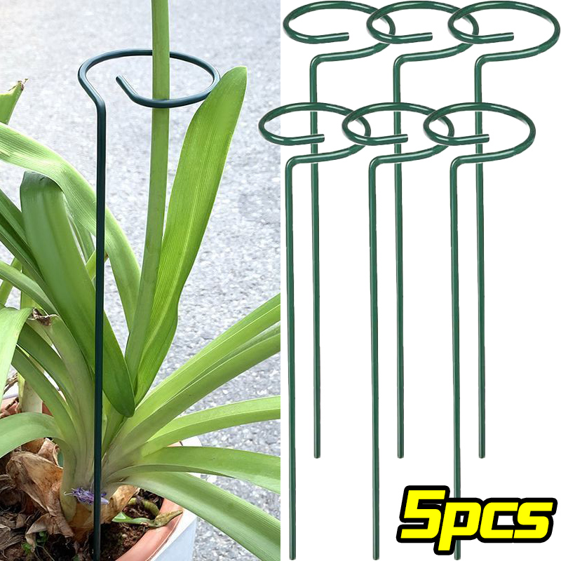 1/10pcs Supporto da giardino P - Florist Supply Bulk recensione e prezzo