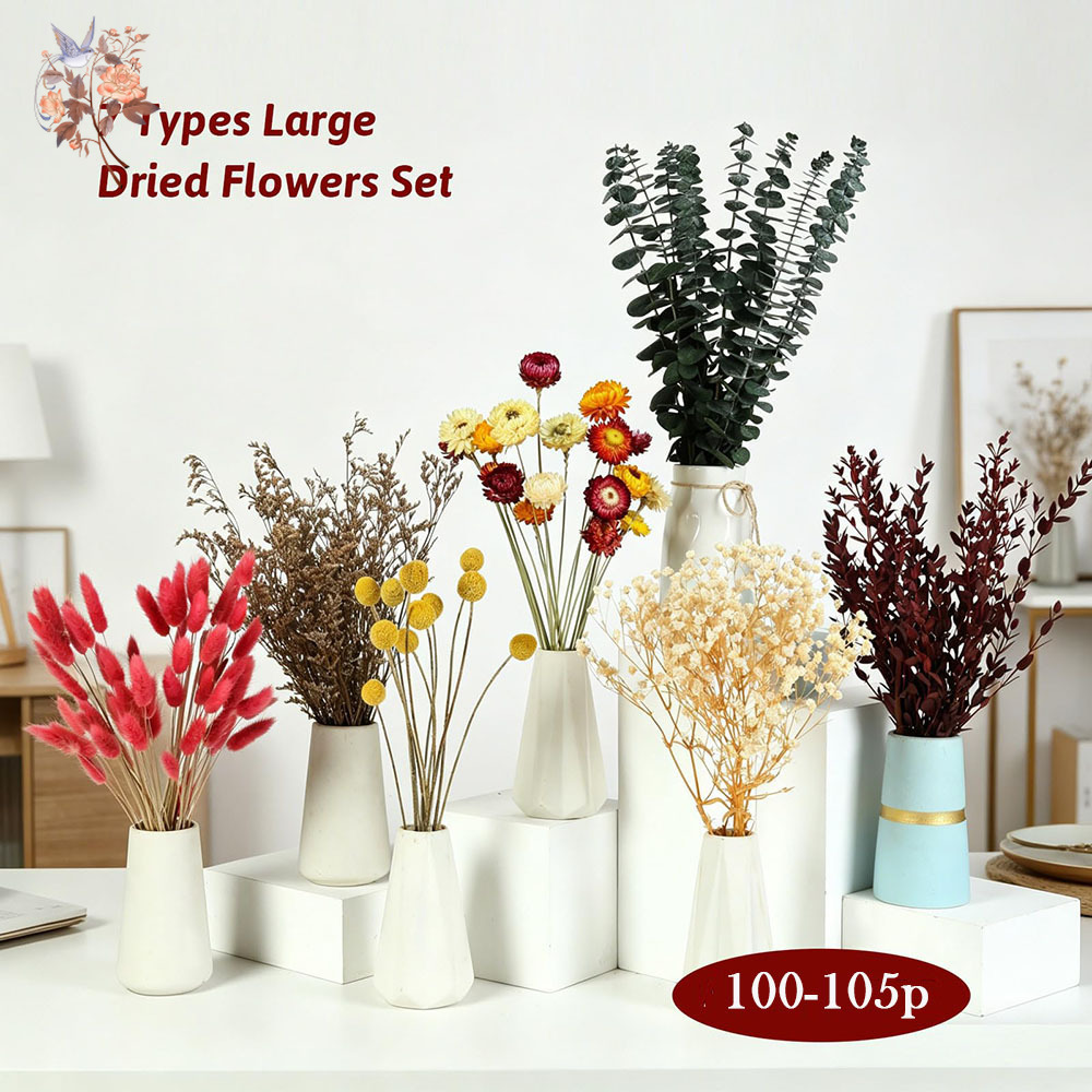 Set di Fiori Secchi in Grandi  - Florist Supply Bulk recensione e prezzo