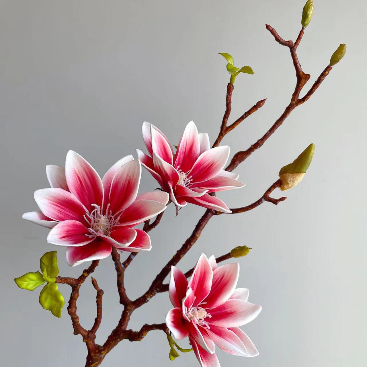Realistico fiore di magnolia a - Supply For Florist recensione e prezzo