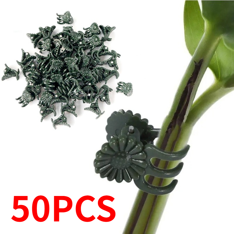 50 Pezzi Clip per Piante a 5 A - Florist Supply Bulk recensione e prezzo