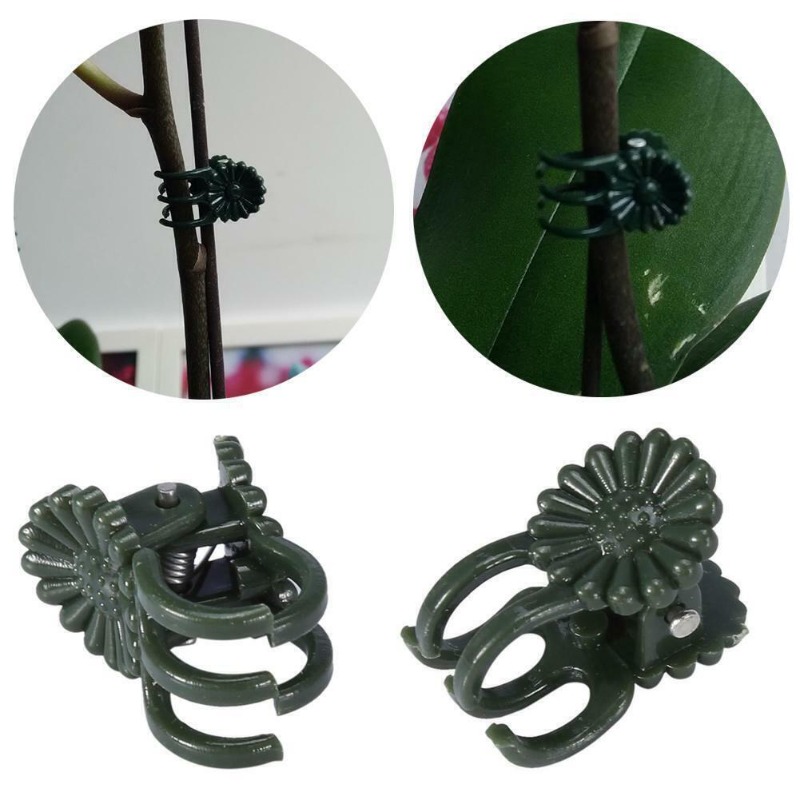 50 Pezzi Clip per Piante a 5 A - Florist Supply Bulk recensione e prezzo