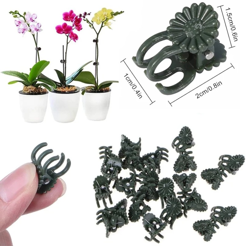 50 Pezzi Clip per Piante a 5 A - Florist Supply Bulk recensione e prezzo
