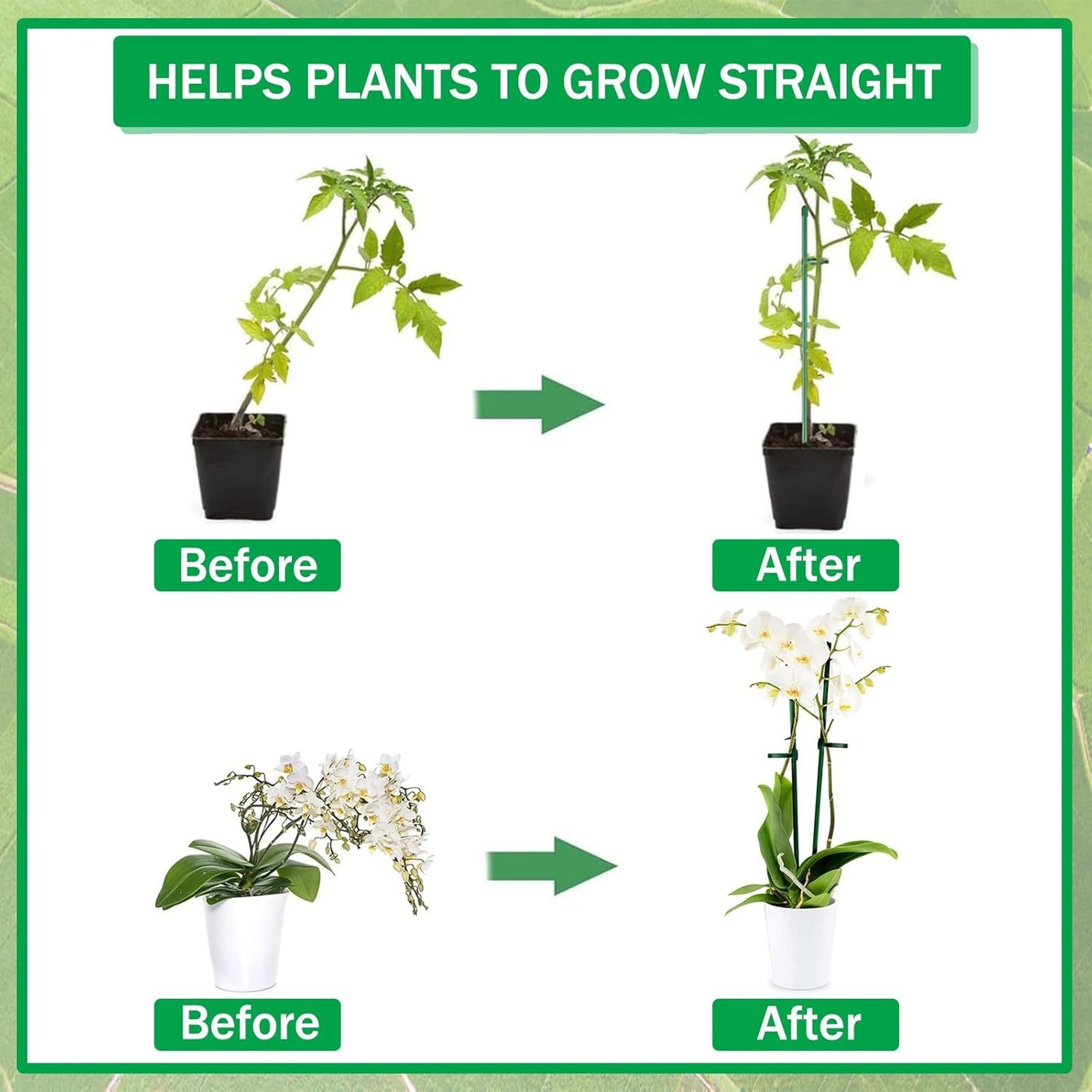 Supporti per Piante, Pali da G - Florist Supply Bulk recensione e prezzo