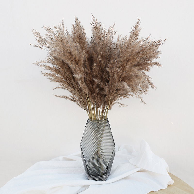 10 Pezzi di Erba della Pampa N - Florist Supply Vases recensione e prezzo