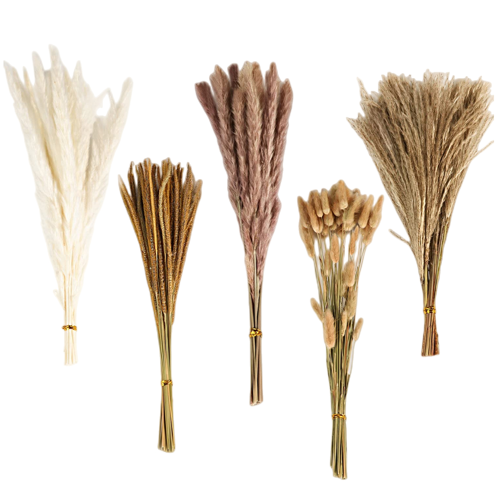 Bouquet di Fiori Secchi Misti  - Florist Supply Vases recensione e prezzo