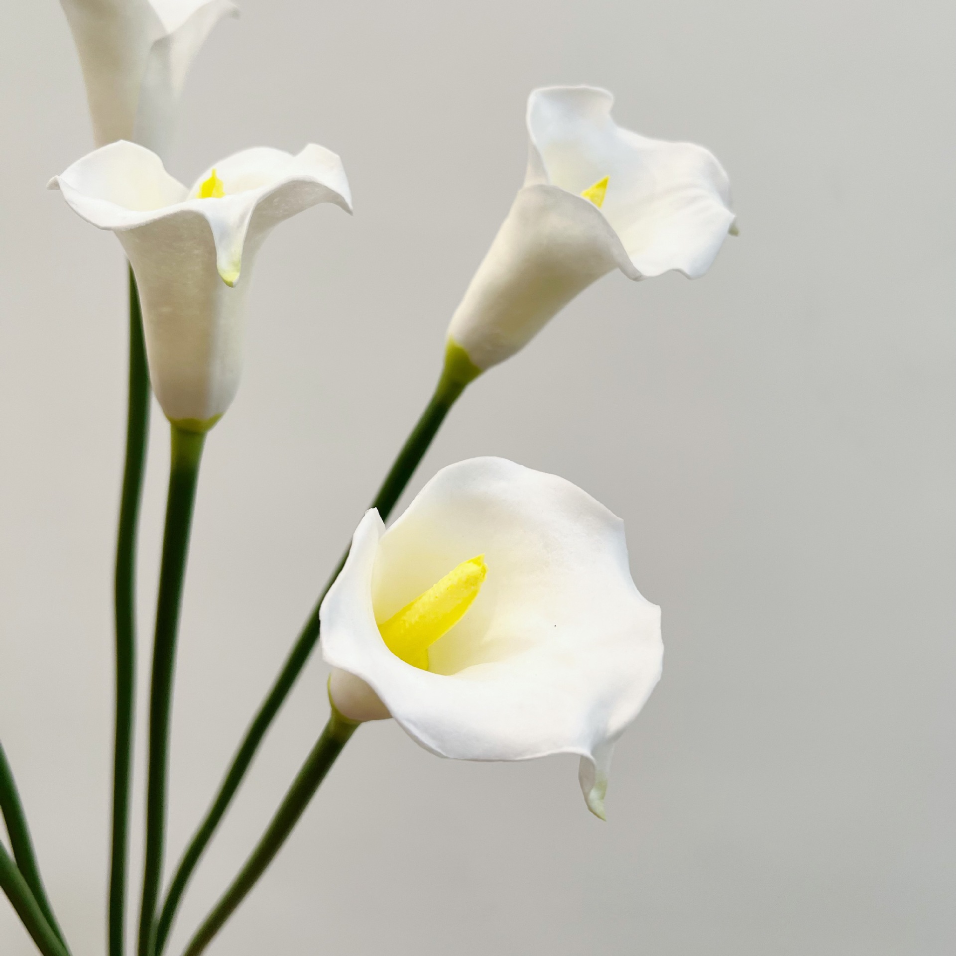 Fiore Artificiale di Calla a S - Florist Supply Bulk recensione e prezzo