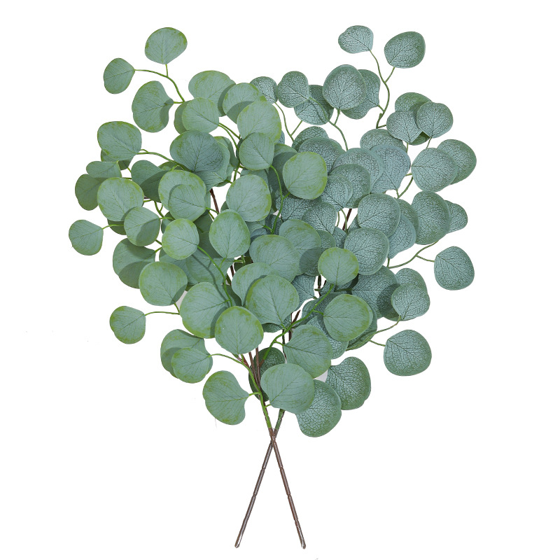 Foglia di eucalipto vite piant - Florist Supply Vases recensione e prezzo
