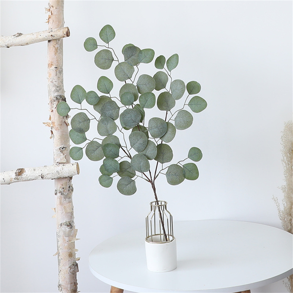 Foglia di eucalipto vite piant - Florist Supply Vases recensione e prezzo