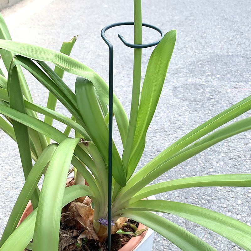 1-10 pezzi in metallo a stelo  - Supply For Florist recensione e prezzo